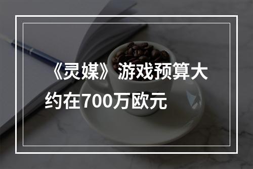 《灵媒》游戏预算大约在700万欧元