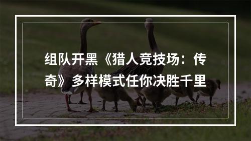 组队开黑《猎人竞技场：传奇》多样模式任你决胜千里