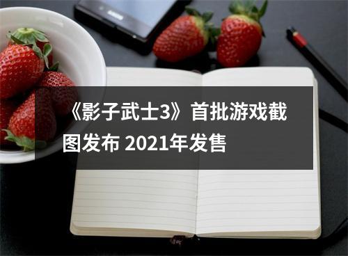 《影子武士3》首批游戏截图发布 2021年发售