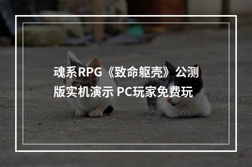 魂系RPG《致命躯壳》公测版实机演示 PC玩家免费玩