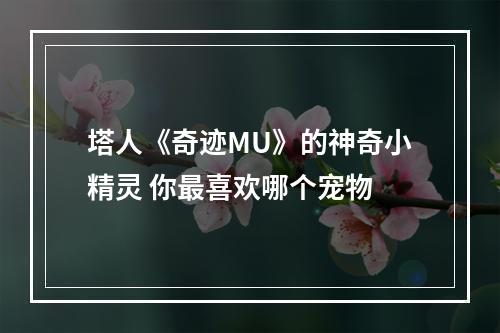 塔人《奇迹MU》的神奇小精灵 你最喜欢哪个宠物