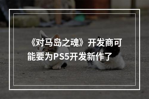 《对马岛之魂》开发商可能要为PS5开发新作了