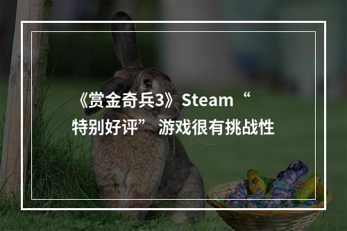 《赏金奇兵3》Steam“特别好评” 游戏很有挑战性