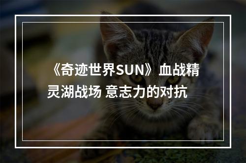 《奇迹世界SUN》血战精灵湖战场 意志力的对抗