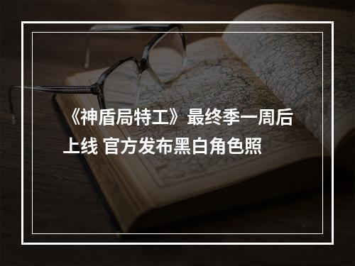 《神盾局特工》最终季一周后上线 官方发布黑白角色照