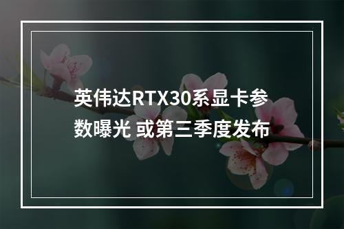 英伟达RTX30系显卡参数曝光 或第三季度发布