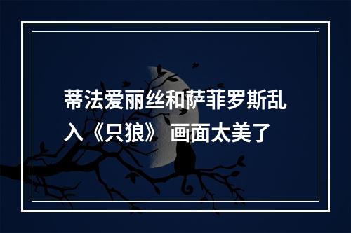 蒂法爱丽丝和萨菲罗斯乱入《只狼》 画面太美了