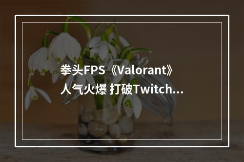 拳头FPS《Valorant》人气火爆 打破Twitch单日观看纪录