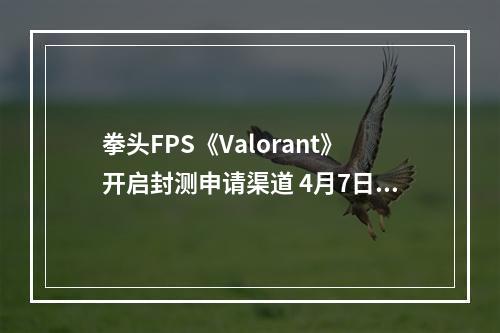 拳头FPS《Valorant》开启封测申请渠道 4月7日开测