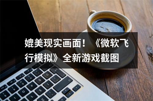 媲美现实画面！《微软飞行模拟》全新游戏截图