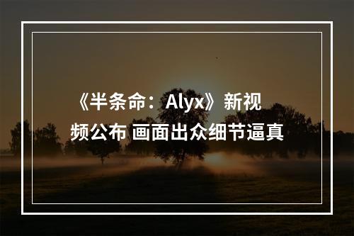 《半条命：Alyx》新视频公布 画面出众细节逼真