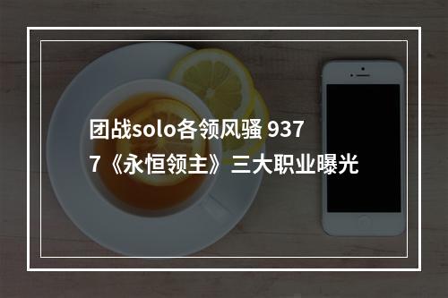 团战solo各领风骚 9377《永恒领主》三大职业曝光