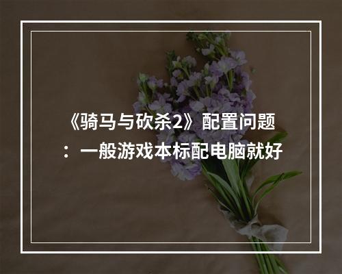 《骑马与砍杀2》配置问题：一般游戏本标配电脑就好