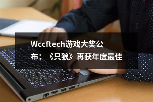 Wccftech游戏大奖公布：《只狼》再获年度最佳