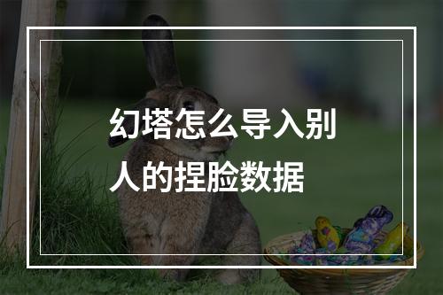 幻塔怎么导入别人的捏脸数据