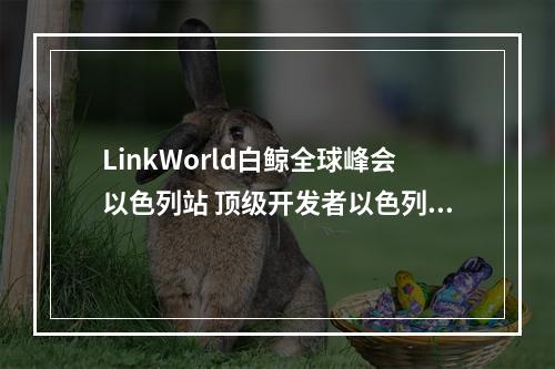 LinkWorld白鲸全球峰会以色列站 顶级开发者以色列行