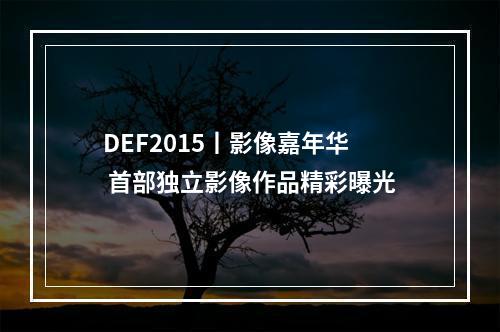 DEF2015丨影像嘉年华 首部独立影像作品精彩曝光