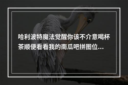 哈利波特魔法觉醒你该不介意喝杯茶顺便看看我的南瓜吧拼图位置攻略