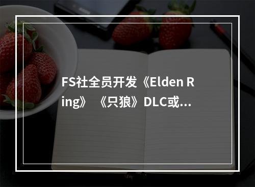 FS社全员开发《Elden Ring》 《只狼》DLC或将取消