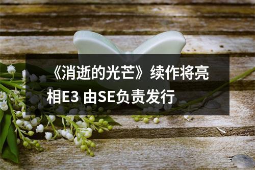 《消逝的光芒》续作将亮相E3 由SE负责发行