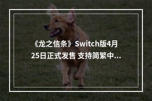 《龙之信条》Switch版4月25日正式发售 支持简繁中文