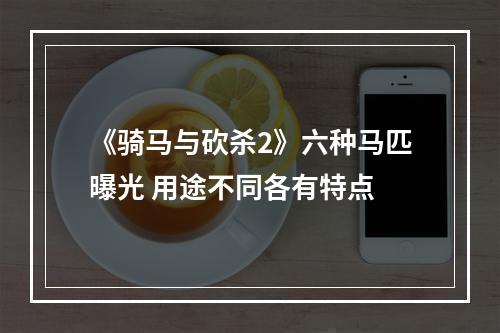 《骑马与砍杀2》六种马匹曝光 用途不同各有特点