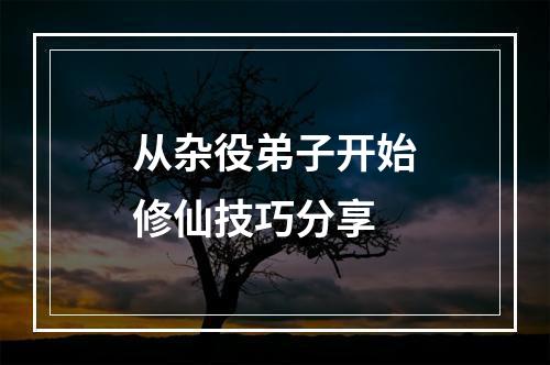 从杂役弟子开始修仙技巧分享