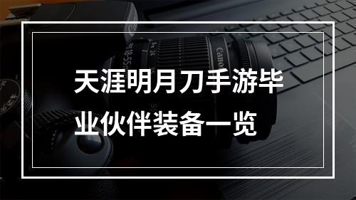 天涯明月刀手游毕业伙伴装备一览