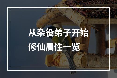 从杂役弟子开始修仙属性一览