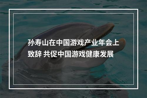 孙寿山在中国游戏产业年会上致辞 共促中国游戏健康发展