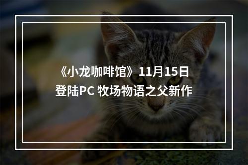 《小龙咖啡馆》11月15日登陆PC 牧场物语之父新作