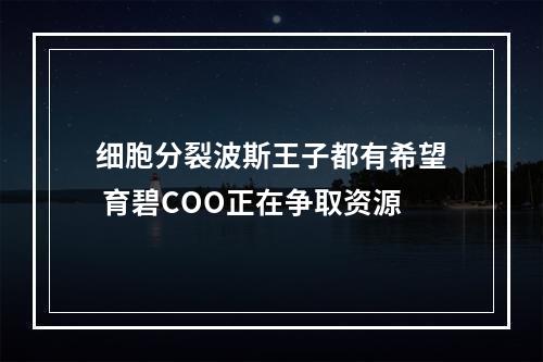 细胞分裂波斯王子都有希望 育碧COO正在争取资源