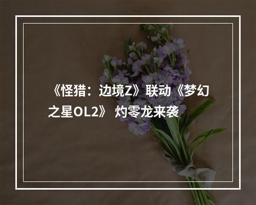 《怪猎：边境Z》联动《梦幻之星OL2》 灼零龙来袭