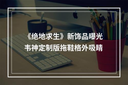 《绝地求生》新饰品曝光 韦神定制版拖鞋格外吸睛