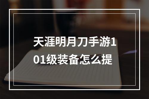 天涯明月刀手游101级装备怎么提