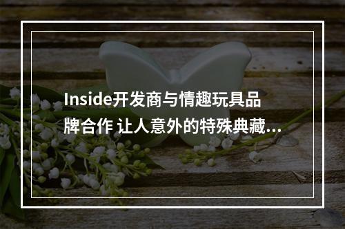 Inside开发商与情趣玩具品牌合作 让人意外的特殊典藏版