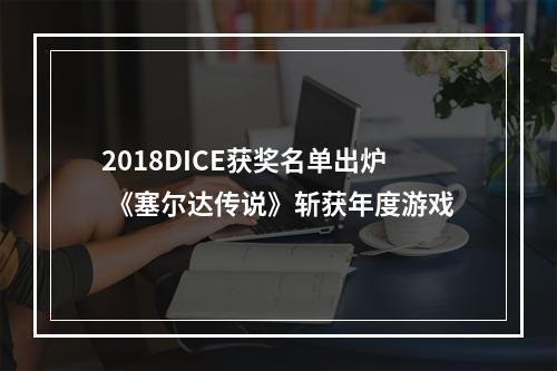 2018DICE获奖名单出炉 《塞尔达传说》斩获年度游戏