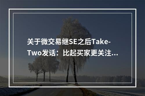 关于微交易继SE之后Take-Two发话：比起买家更关注玩家