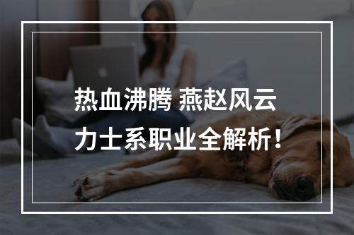 热血沸腾 燕赵风云力士系职业全解析！