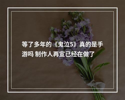 等了多年的《鬼泣5》真的是手游吗 制作人再宣已经在做了