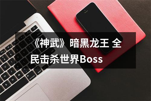 《神武》暗黑龙王 全民击杀世界Boss