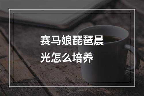 赛马娘琵琶晨光怎么培养