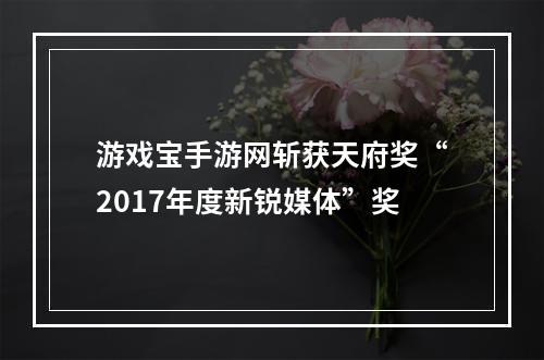 游戏宝手游网斩获天府奖“2017年度新锐媒体”奖