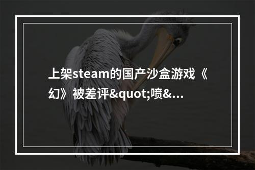 上架steam的国产沙盒游戏《幻》被差评"喷"没了