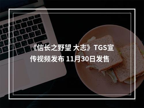 《信长之野望 大志》TGS宣传视频发布 11月30日发售