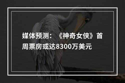 媒体预测：《神奇女侠》首周票房或达8300万美元