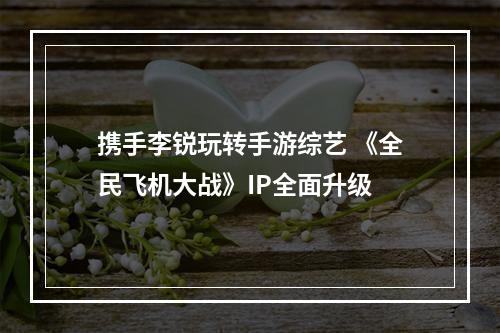 携手李锐玩转手游综艺 《全民飞机大战》IP全面升级