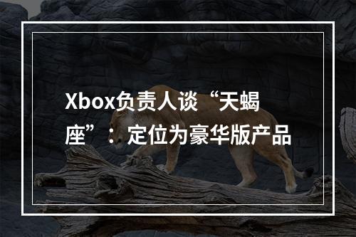 Xbox负责人谈“天蝎座”：定位为豪华版产品