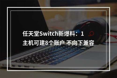 任天堂Switch新爆料：1主机可建8个账户 不向下兼容