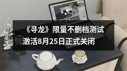 《寻龙》限量不删档测试激活8月25日正式关闭